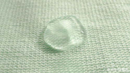 首發(fā)丨打造紡織業(yè)數(shù)字供應(yīng)鏈生態(tài)，鹿優(yōu)數(shù)科獲億元A輪融資